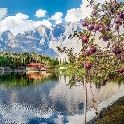 listing-details-carousel